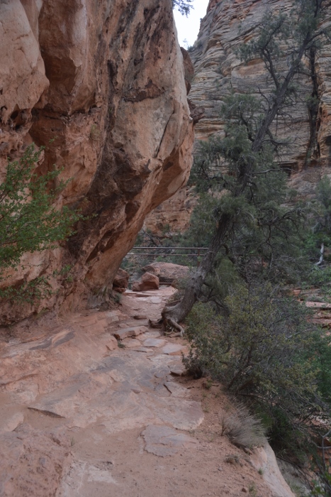 On the Canyon Overlook Trail